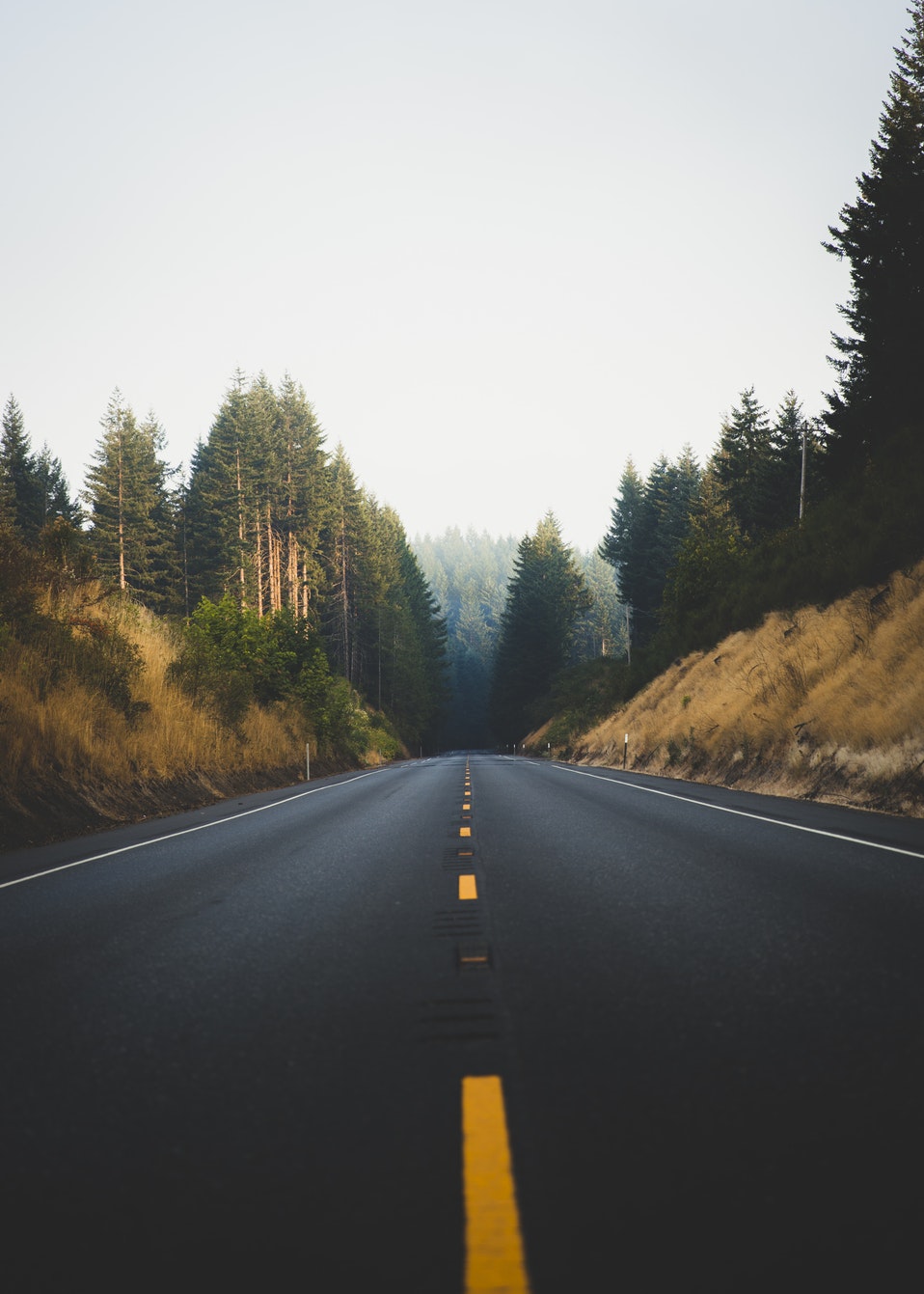 photo-1522808745147-7932806cc50c