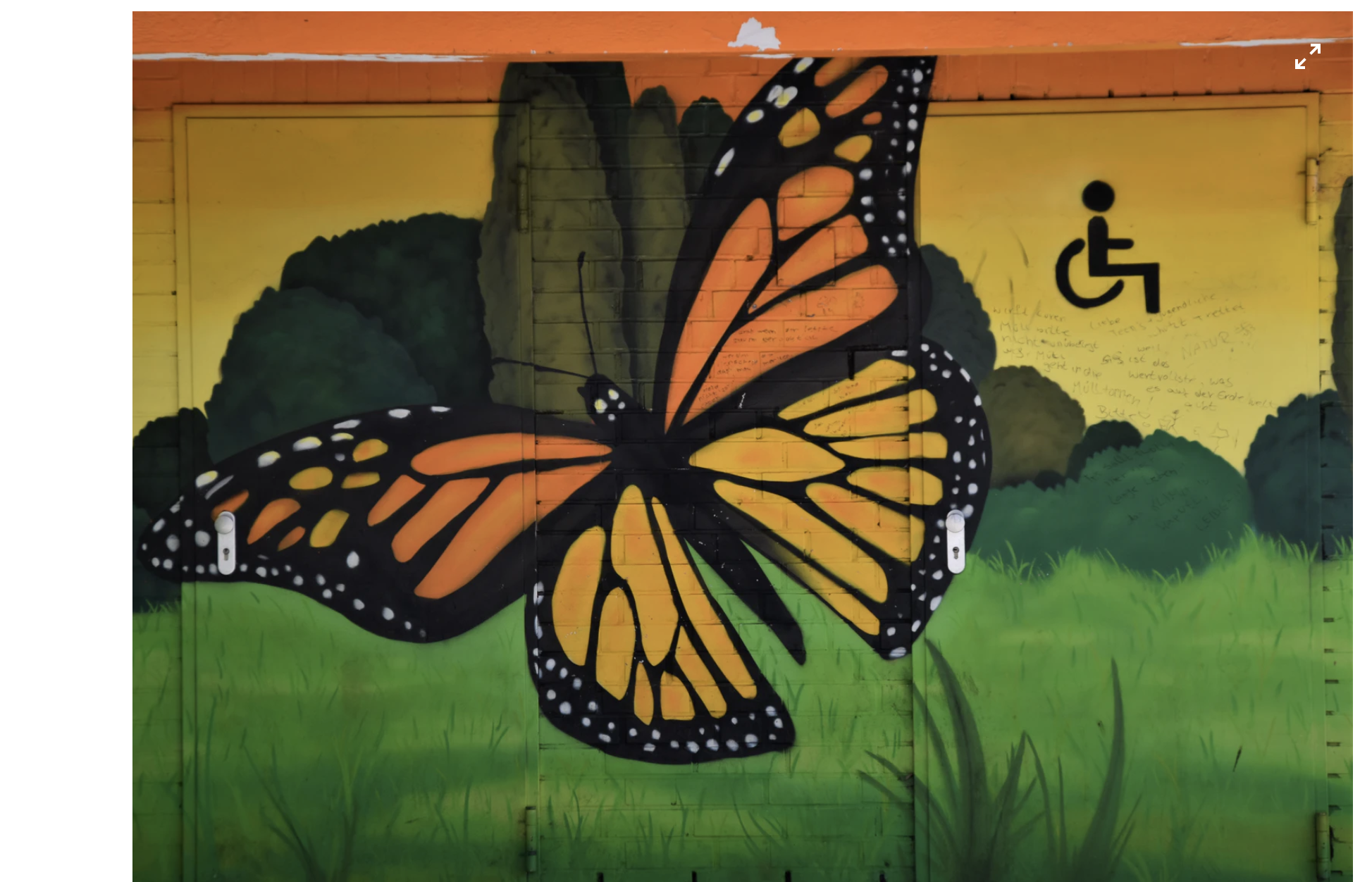 Screen Shot 2021-06-28 at 8.22.35 AM